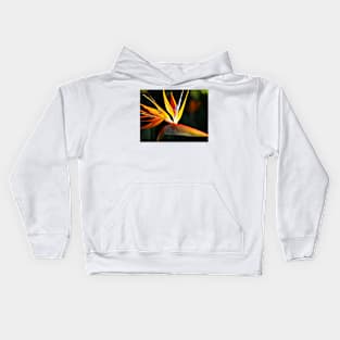 Bird of Paradise- California Kids Hoodie